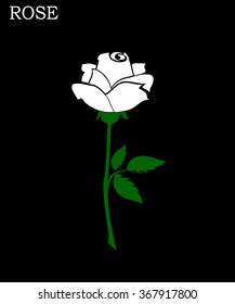 Roses with leaves colored icons on white background vector illustration