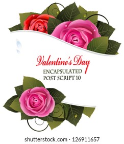 Roses and leaves on a white background with place for text
