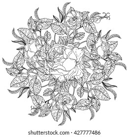 roses and leaves shape of mandala in old masters style bouquet for adult coloring book in zen art therapy style for anti stress drawing. Hand-drawn, vector, detailed mandala, for coloring book, poster