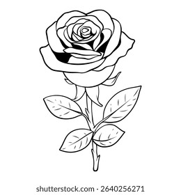 roses line art hand drawn illustration