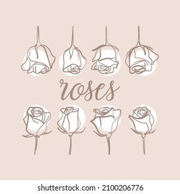 Rosen. Lineare Zeichnung von Blumen