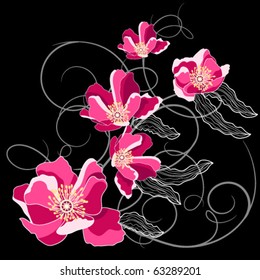 Roses on black background