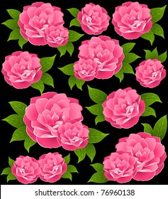 Roses on the black background. Vector