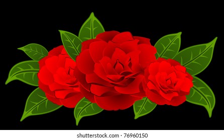 Roses on the black background. Vector