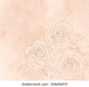 Roses on pink paper vector