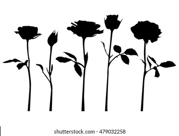 Roses on stem black silhouette - vector