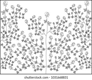 Roses on white background.