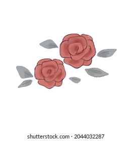 Rosas. Sobre un fondo blanco.