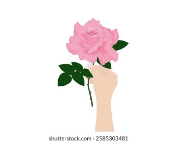 Roses on a white background.