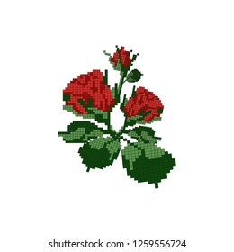 Roses on a white background. Pixel art. Vector illustration.