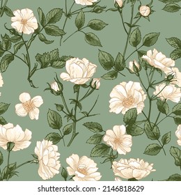 Patrón de rosas Flores blancas dibujadas sobre un fondo blanco. Esbozo vectorial de flores. 