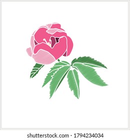 Roses  Pattern Image White Colored Background Composition Textile Advertising.