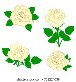 Roses in a pattern on a white background
