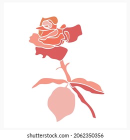 Patrón de rosas.Imagen en un fondo blanco y de color.Vector.