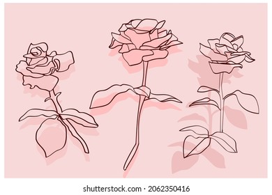 Roses  pattern.Image on a white and color backgroundr.Vector.