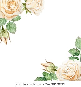 Roses peach frame, watercolor. Hand drawn vector illustration of pastel flowers. For birthday greeting cards, Valentines Day, wedding invitations, summer banners, posters, labels.