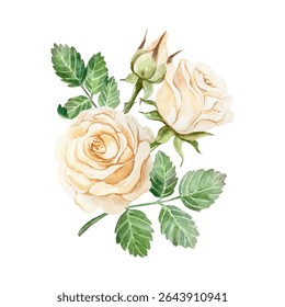 Roses cor de água de pêssego. Ilustração de vetor desenhada à mão de belo buquê de flores pastel e broto. Cartões comemorativos de aniversário, Dia dos Namorados, Dia das Mães, convites de casamento, banners, cartazes.