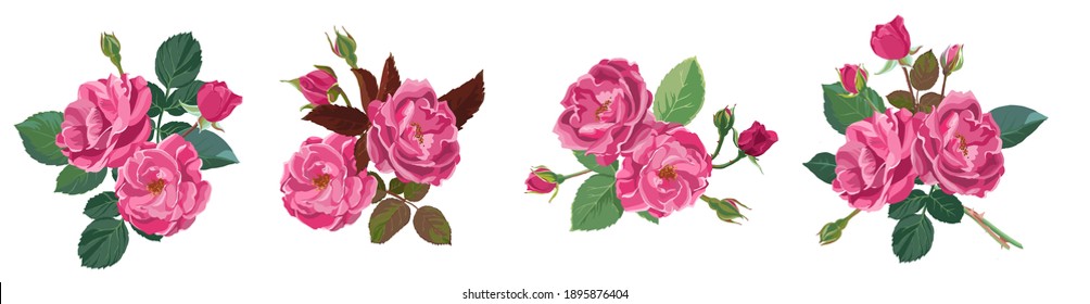 Roses or peonies in bloom, flourishing flowers