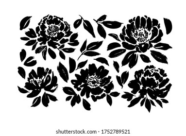 Roses, peonies, chrysanthemums hand drawn vector set. Black brush paint flower silhouettes with leaves. Floral drawings collection. Grunge dry paint brushstrokes isolated on white background.