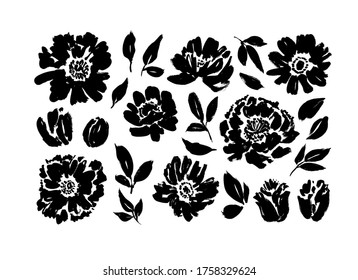 Roses, peonies, chrysanthemums hand drawn vector set. Black brush paint flower silhouettes with leaves. Floral drawings collection. Grunge dry paint brushstrokes isolated on white background.