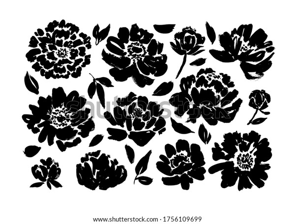 バラ 牡丹 菊の手描きのベクトルセット 黒いブラシペイントの花が葉とシルエットになります 花柄の図面コレクション 白い背景にグランジドライペイントのブラシストローク のベクター画像素材 ロイヤリティフリー