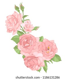 Roses. Perfect for background greeting cards and invitations of the wedding, birthday, Valentine's Day, Mother's Day.