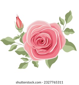 Roses pink and flowers  vector for decoration , wedding card , innovation