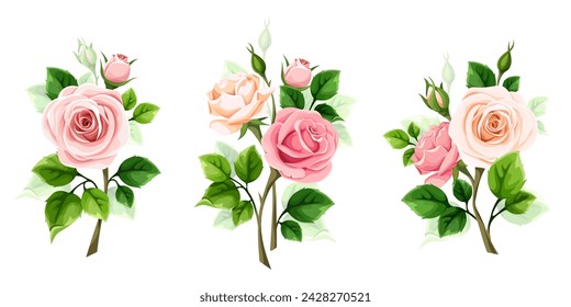 Roses. Pink and white rose flowers and green leaves isolated on a white background. Rose branches. Set of vector design elements. Hand-drawn illustration, not AI