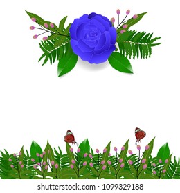 Roses purple color and butterfly with with copy space background. Vector illustration.