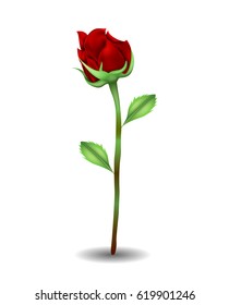 Roses realistic icon