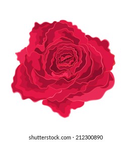 Roses realistic vector illustration 