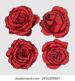 roses red flower vector illustration isolated
