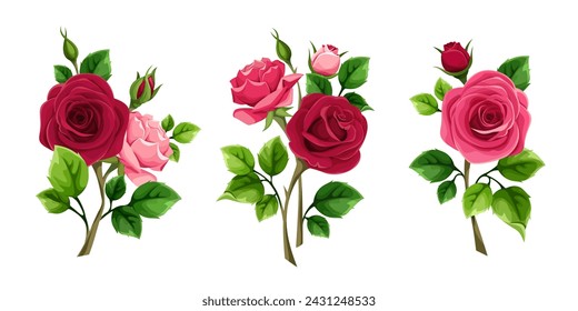 Rosas. Flores rojas y rosas y hojas verdes aisladas sobre un fondo blanco. Ramas de rosa. Conjunto de elementos de diseño vectorial. Ilustración dibujada a mano, no AI