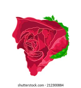 Roses red realistic vector illustration