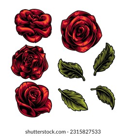 ROSES AND ROSE LEAVES vector 