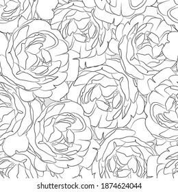 Roses seamless pattern. floral vector background