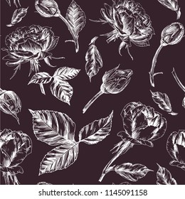 Roses seamless pattern. A magnificent collection of roses painted with high quality by hand ink and a pen.