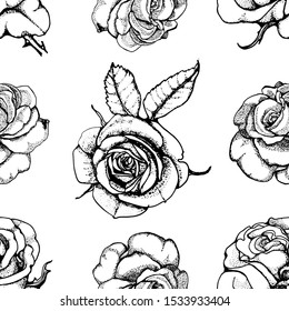 roses seamless pattern vector isolated on white background, hand drawing