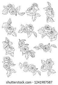Roses. A set of beautiful, elegant roses. Flower arrangements