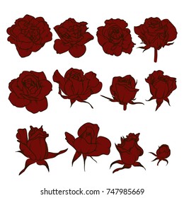 Roses set, floral design elements collection