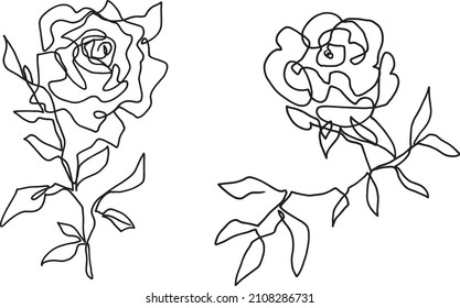 roses sketch. black and white continuous one line drawing. flowers illustration.