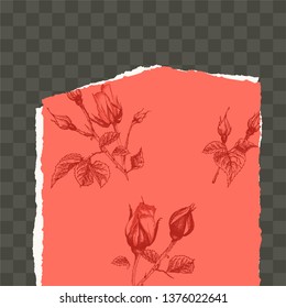 Roses sketch on torn paper