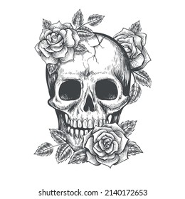 Roses skull sketch. Skulls bone with rose floral plants tattoo, skeleton head with flowers vintage art vector image, scary engraving graphics