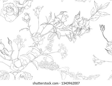 Roses and spring flowers seamless pattern. Outline hand drawing vector illustration.. Vector illustration.