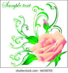  Roses and Swirls Vector Illustration