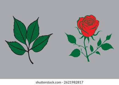 As rosas são símbolos atemporais de amor, beleza e elegância, admirados em várias culturas e gerações. 