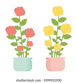 Roses tree in pot. Red and yellow rose with green leaves. Vector illustration.