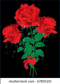 roses for Valentine's on black