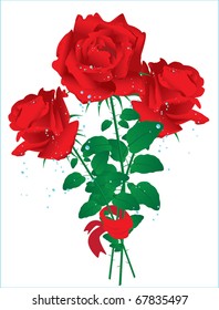 roses for Valentine's on white