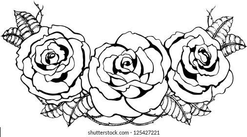 Roses. Vector